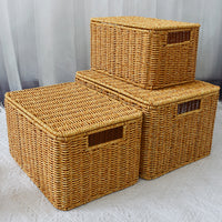 Plastic Rattan-Style Storage Box for Organizing Clothes and Accessories