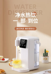 即热饮水机家用台式速热直饮机小型桌面茶吧机110V饮水机一件起批 国标