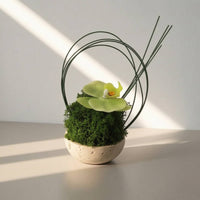 Artificial Plant with Stone Bowl Sculptural Artificial Flower Arrangement Simple Care Decor for Desk, Coffee Table