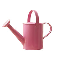 Watering Can with Sprinkler Rose Indoor Metal Watering Can Lightweight