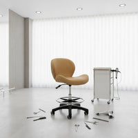 Swivel Salon Chair Stool Footrest Rolling Salon Stool Chrome