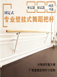 舞蹈把杆壁挂固定式专业单双层可升降压腿杆扶手舞蹈室练功房瑜伽