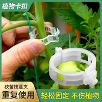 绿植果树植物固定夹卡扣藤蔓固定器秧苗爬藤支撑杆果蔬秧苗吊夹