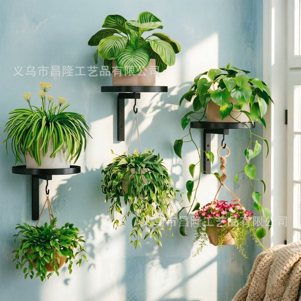 Wall Plant Hook Bracket with Integrated Hook, Quick Install, Indoor/Outdoor, Metal, CL-518