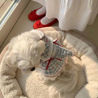 Cute Dog Dress and Cat Dress with Lace Skirt - White Plaid and Lace Skirt - Blue Plaid, Gingham Small Dog Clothes in Dopamine Style for Parties