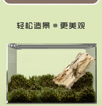 ZOOG Acrylic Reptile Terrarium for Leopard Geckos