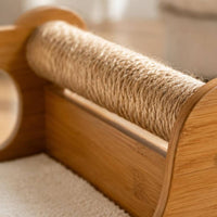 Cat Scratcher Bed Cushioned Cat Sofa Bed Raised Backrest Animal Furniture