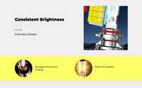 LED Headlight Bulb, High/Low Beam, 6000K, Plug & Play install