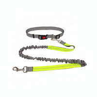 Elastic Leash and Collar Combo Flexible Adjustable Collar Leash Set Metal D-Loop Pet Gear Snap Hook for Walking, Control