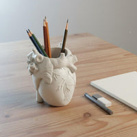Realistic Heart Pen Holder Easy to Clean Organ Shaped Pen Cup Roomy Opening