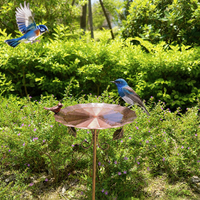 bird bath