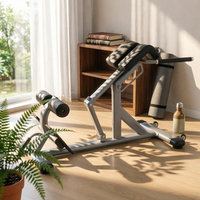Back Extension Bench Slanted Support Adjustable Back Extension Bench Foam Pads Roman Chair for Floor Use