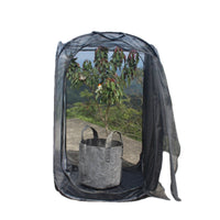 Foldable Insect Rearing Cage with Transparent Observation Window