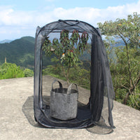 Foldable Insect Rearing Cage with Transparent Observation Window