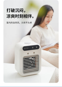 Portable USB Misting Fan with Humidifier, 2 Speeds, for Desk Use