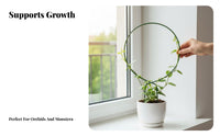 Plant Trellis Rustproof Plant Climbing Frame for Houseplant Enthusiasts, Indoor