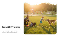 Portable with Carry Bag Soccer Footwork Training Equipment Multi-Functional Soccer Training Equipment Kit Lightweight Agility Ladder and Cone Set Sturdy Material for Athletes, Coaches, Kids, Outdoor, Sports Field, Gym