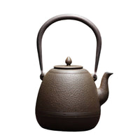 Cast Iron Kettle Traditional Tetsubin Handmade for Hosts