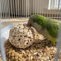Parrot Chewing Toy Sola Ball, Sola Wood Parrot Gnawing Toy for Beak Grinding, Small and Medium Parrot Cage Toy for Energetic Bird Chewing