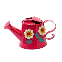 Watering Can with Long Spout Gentle Spray Container Dual Handle for Plant Lovers