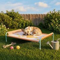 Raised Pet Cot Breathable Elevated Dog Bed Metal Frame for Indoor