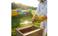 Hot Uncapping Knife Honey Knife with Digital Display Corded Heated Tool for Beeswax Removal Professional Apiary