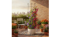 Garden Trellis with Heart Tops Decorative Climbing Plant Trellis Metal