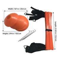 Agility Ladder, Football Training Equipment for Speed Agility Training, Adjustable Polypropylene Rungs, Nylon Straps with Ground Stakes & Carry Bag
