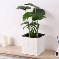 Plant Pots and Hanging Basket for Indoor Greenery, Square White Wall Planter and Hanging Decor, Self Watering Outdoor Balcony Planter, 1 Pack
