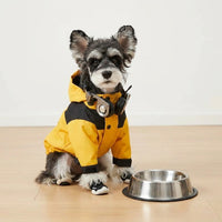 Warm Dog Jacket and Cat Jacket with Zipper, Polyester Outdoor Dog Coat and Cat Coat, Full Underbelly Coverage Casual Design