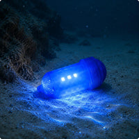 4 Pieces Deep Sea Fishing Light Compact and Portable Underwater Fishing Lamp