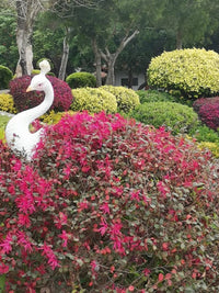 户外庭院花园造景风创意孔雀插支花盆插件装饰品盆栽摆件阳台园林