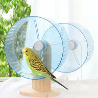 Parrot Bird Exercise with Flat Surface Perch, Bird Activity and Parrot Play Budgie Toy