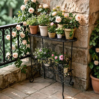 Metal Plant Stand Ornate Rack Decorative for Porch