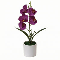 Phalaenopsis Flower Arrangement Real Touch Artificial Flower 33 Cm Tall