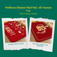 Diatom Mud Bath Mat fast-dry absorbent
