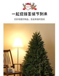 圣诞树家用儿童2025新款韩式高级感大型摆件裸树装饰品ins风网红 B ★☆【全PE】1.8米4500枝头【自带350灯】无需自己绕灯