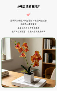 两叉9朵手感蝴蝶兰线条方盆盆景室内创意装饰塑料仿真花桌面盆栽