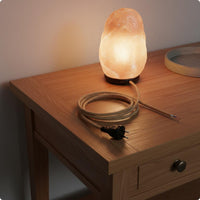 Europlug Power Cord Stripped Wire Ends Braided Lamp Cord Electrical Accessory Rustic