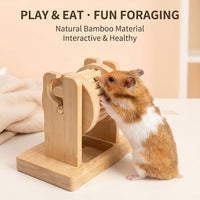 DIY Hamster Foraging Toy Wooden Interactive Feeder for All Seasons