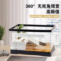 Turtle Tank with Basking Platform and Filter for Small Turtles