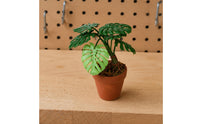 Mini Monstera Plant 1:12 Scale House Decor Textured