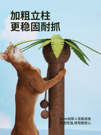 zeze椰树猫抓板立式麻绳猫抓柱猫爪板不掉屑可爱猫玩具猫咪用品