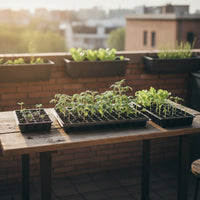 Starting Tray Reusable Seedling Tray with Drainage Holes Dishwasher Safe