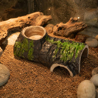 Hollow Log Hideout Realistic Lichen Cave Hide Safe Materials