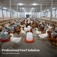 Automatic Fowl Waterer Easy to Hygienic Chick Feeder and Waterer Set Material Automatic Fowl Feeder