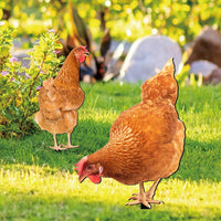 Acrylic Chicken Garden Yard Art Decorative Stake