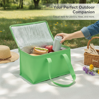 Portable Insulated Lunch Bag Cooler for Outdoor Picnic, Beer, and Food Storage