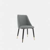 Upholstered Side Chair with Metal Legs Light Luxury Design for Homeowners