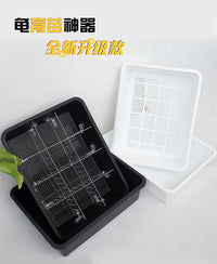 乌龟育苗盆隔离盒带盖龟缸蛋龟发色保温箱粪便分离过冬懒人饲养箱